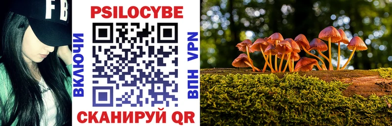 гидра как зайти  Борзя  Галлюциногенные грибы Psilocybe 