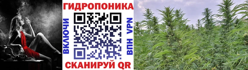 наркота  Борзя  Каннабис White Widow 
